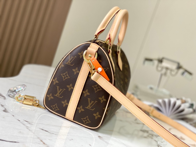 LV Speedy Bags